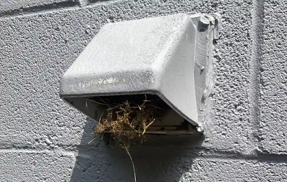 Choose Safety Dryer Vent Cleaning