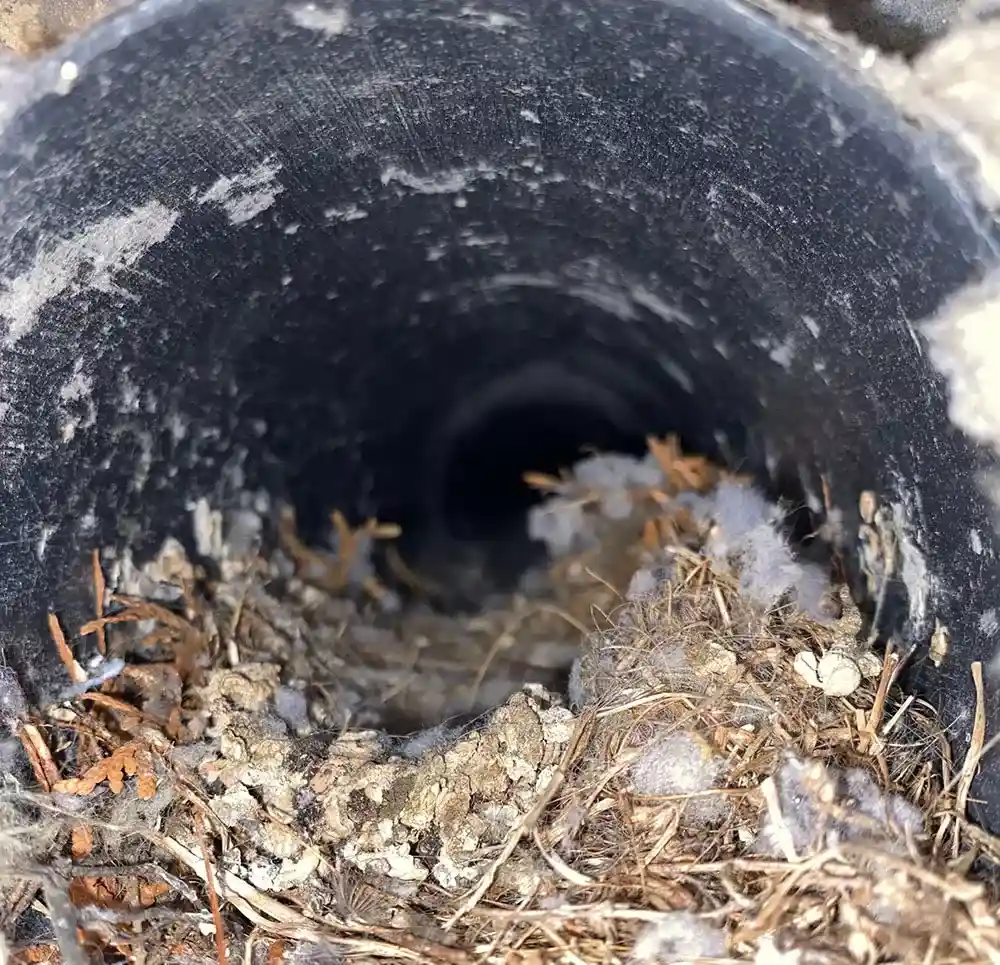 Cost of Budget Dryer Vent Cleaning